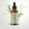 Mielle Rosemary Mint Scalp & Hair Strengthening Oil – প্রাকৃতিক চুলের যত্নে রোজমেরি ও মিন্ট অয়েল